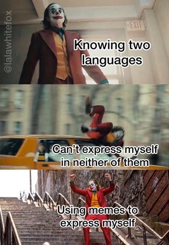 Speak two languages meme